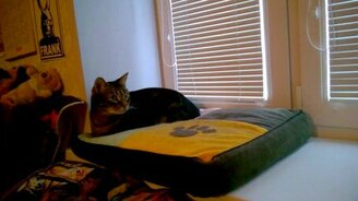 Это что, я что ли? - смотреть видео (0:50)