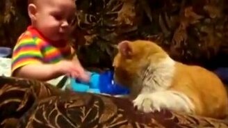 Кот заставляет спать ребёнка - смотреть видео (0:36)