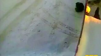 Подразнил собак... - смотреть видео (0:52)