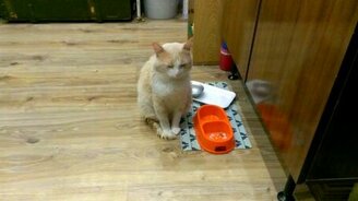 Ты спать пойдёшь или есть будешь? - смотреть видео (1:09)