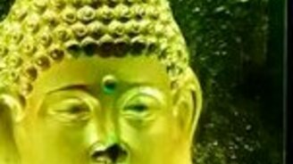 Волшебный Будда - смотреть видео (0:21)