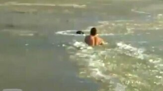 Парень спасает собаку из оков льда - смотреть видео (0:58)