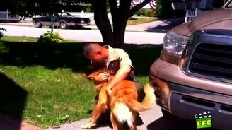 Собаки с радостью встречают хозяев - смотреть видео (5:43)