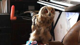 Уберись в комнате! - смотреть видео (0:39)