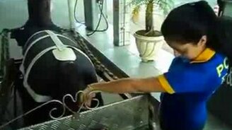 Заправьте мне карету! - смотреть видео (1:45)