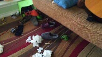 Кто раскидал салфетки? - смотреть видео (1:11)