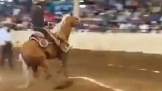 Самый короткий тормозной путь - смотреть видео (0:05)