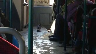 Голубь-заяц в автобусе - смотреть видео (0:59)