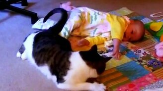 Кошка не даёт малышу заскучать - смотреть видео (2:34)