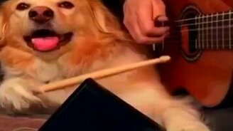 Пёс подыгрывает хозяину - смотреть видео (0:20)