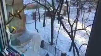 Смекалистые работники ЖКХ - смотреть видео (1:28)