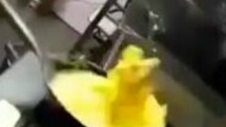 Мастер приготовления омлета - смотреть видео (0:44)