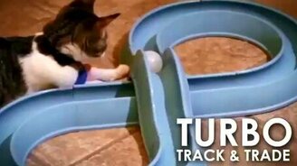 Бесконечность с шариком для кошки - смотреть видео (0:22)