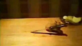 Танец с саблями хомяка - смотреть видео (0:19)