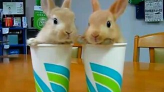 Покемоны в стаканах - смотреть видео (1:00)