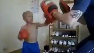 Жёсткая тренировка маленького боксёра - смотреть видео (1:37)