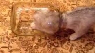 Банка - не коробка! - смотреть видео (0:40)