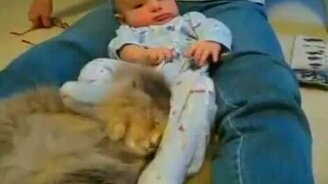 Ну вот, пополнение в семье - смотреть видео (0:47)