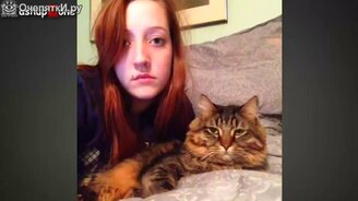 Лучшие смешные кошки и собаки - смотреть видео (5:43)