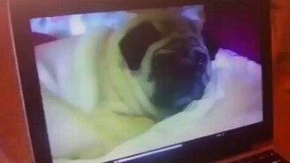 Истина где-то рядом - смотреть видео (0:21)