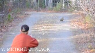 Десять самых незадачливых охотников - смотреть видео (3:14)
