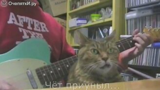 Подборка весёлых видеороликов - смотреть видео (4:30)