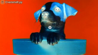 Пятёрка забавных зрительных иллюзий - смотреть видео (1:55)