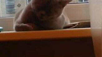 Угарно заснул - смотреть видео (0:11)