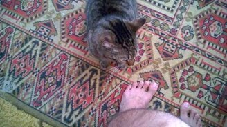 Хозяин, а ну подъём! - смотреть видео (1:39)