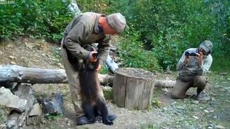 Ручная росомаха - смотреть видео (3:19)