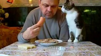 Ну дай мне сарделечку! - смотреть видео (1:50)