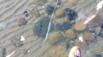 Прозрачнейший лёд на озере - смотреть видео (1:14)