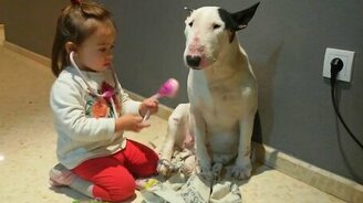 Терпеливый пациент - смотреть видео (1:09)