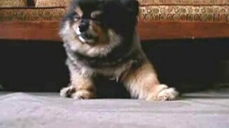 Кто спит? Я не сплю! - смотреть видео (0:28)