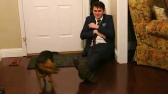 Пёс не видел хозяина два года! - смотреть видео (1:09)