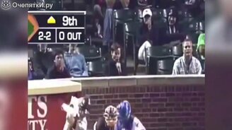 Весёлые болельщики на трибунах - смотреть видео (2:08)