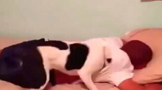 Собаки-будильники - смотреть видео (1:42)