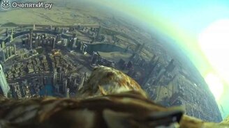 Полёт орла на высоте - смотреть видео (1:55)