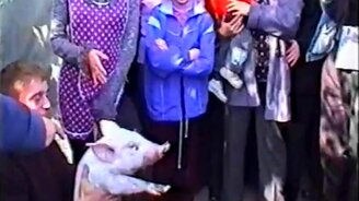 Поцелуй жизни - смотреть видео (0:55)