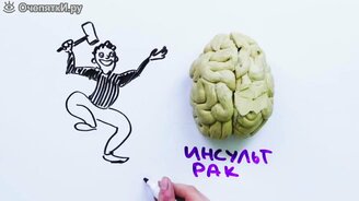 Наш мозг работает на 10 процентов? - смотреть видео (3:58)