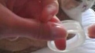 Кошачий рефлекс на звук скотча - смотреть видео (0:07)