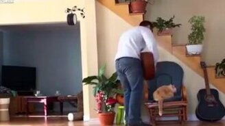 Месть кота за отношение - смотреть видео (0:37)