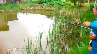 Быстрая атака добычи рыбака - смотреть видео (0:40)