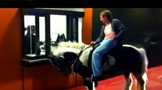 В МакАвто не обслуживают на лошади - смотреть видео (3:26)