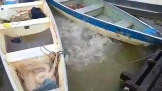 Кормление пираний - смотреть видео (1:16)