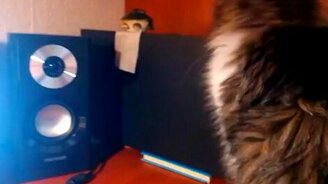 Сабвуфер засосал тряпочку - смотреть видео (0:17)