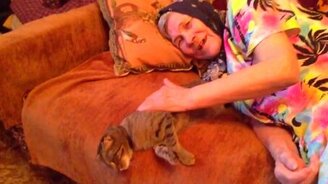 Бабушкина колыбельная для кошки - смотреть видео (0:24)