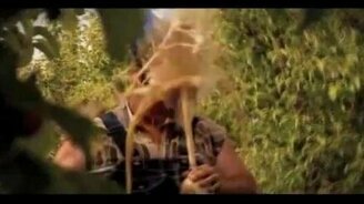 Кола ударяет в голову - смотреть видео (0:31)