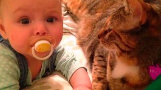 Кошка вместо няни - смотреть видео (0:34)