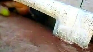 Эх, застрял - смотреть видео (1:43)